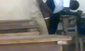 هەرزەکارانی ئەفریقی  ...